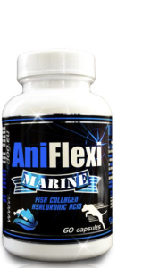 GAME DOG AniFlexi Marine 60 kapsułek na stawy dla alergików