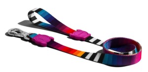 Smycz ZeeDog PRISMA