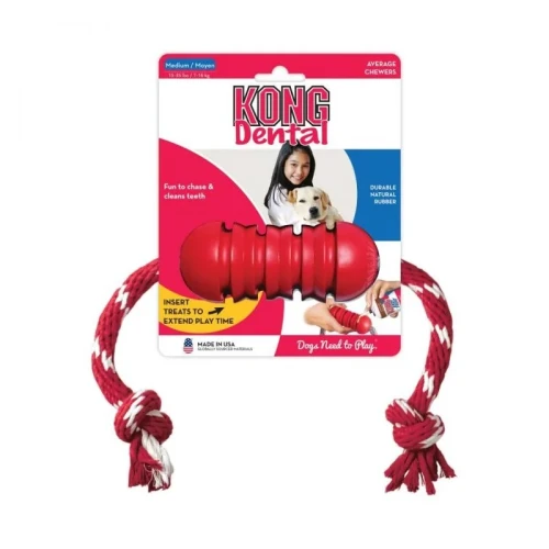 kong-dental-z-lina.jpg.webp