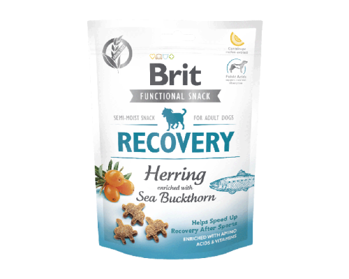 BRIT CARE DOG FUNCTIONAL SNACK RECOVERY HERRING 150g.png