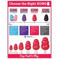 KoNG.jpg