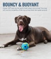 Planet Dog Orbee Tuff Planet Ball L - Piłka Planetka Duża Niebiesko-Zielona 1.jpg