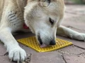 Soda Pup eMat Honeycomb Large Yellow - Mata do Lizania Plaster Miodu 2.webp