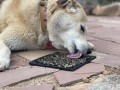 Soda Pup eMat Zombie Large Black - Mata do Lizania Czaszki 2.jpg