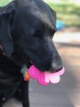 Soda Pup Nylon Paw Print Pink - Zabawka Psia Łapka 2.jpg