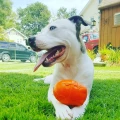 Soda Pup SN Rocketman Large Red - Zabawka Rakieta 2.webp