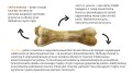 Syta micha kość do żucia z jeleniem i morelą 13,5 cm.jpg