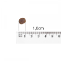 BALTICA karma sucha z łososiem i kaczką dla szczeniąt duże rasy 1kg.png