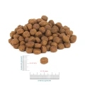 PERRO karma sucha junior Wołowina z batatami 1kg - dla szczeniąt wszystkich ras
