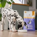 PERRO karma sucha junior Wołowina z batatami 1kg - dla szczeniąt wszystkich ras