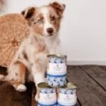 PERRO karma mokra JUNIOR Jeleń z gruszką 400g.webp