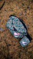 DOG SENSE najlePSIA nerka