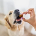 PERRO przysmaki BON BON królik - ochrona przed kleszczami 80g