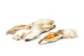 PETMEX ucho królicze z futrem, gryzak naturalny 200g