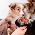 PERRO karma mokra JUNIOR Konina z cukinią 800g