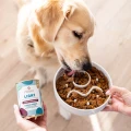 PERRO karma mokra LIGHT Indyk z warzywami 800g