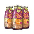 SmoothieDog OBSTKORB (kosz owoców) owocowe smoothie 250ml