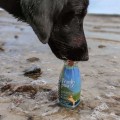 SmoothieDog DUCK smoothie z kaczki 250ml