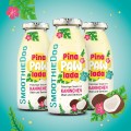 SmoothieDog PinaPawLada smoothie z królika 250ml