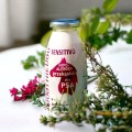 SmoothieDog SENSITIVO smoothie z koniny 250ml