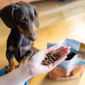 PERRO karma sucha Wołowina z batatami 3kg - bezzbożowa formuła dla psów dorosłych małych ras