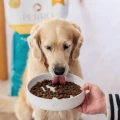 PERRO karma sucha Kaczka z batatami 12kg - dla psów dorosłych średnich i dużych ras