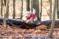TRIXIE płaszcz przeciwdeszczowy VIMY czerwony dla psa M 50cm