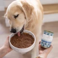PERRO karma mokra Gourmet Konina z korzeniem pietruszki 400g