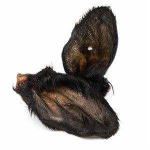 BALTO ucho cielęce z futrem, gryzak dla psa - 1szt