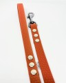 Dog Sense smycz miejska 2,5m 16mm