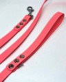 Dog Sense smycz miejska 2,5m 16mm