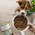 PERRO karma mokra JUNIOR Jagnięcina z cukinią 800g