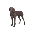 TRIXIE Walker Active Long buty dla psa L, 2 szt