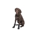 TRIXIE Walker Active Long buty dla psa XL, 2 szt