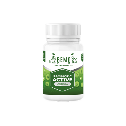BEMO probiotyk Probiotic Active 40szt