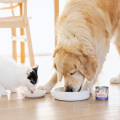 PERRO Soups bulion z filetem z wołowiny 140g