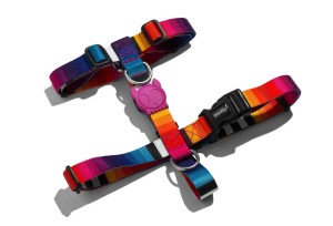 Szelki ZeeDog PRISMA