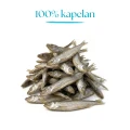 DR MALOU liofilizowane rybki kapelan 100% 80g
