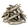 DR MALOU liofilizowane rybki kapelan 100% 80g