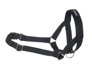 Halter