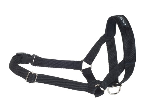 01.-Halter-Basic-Black.jpg
