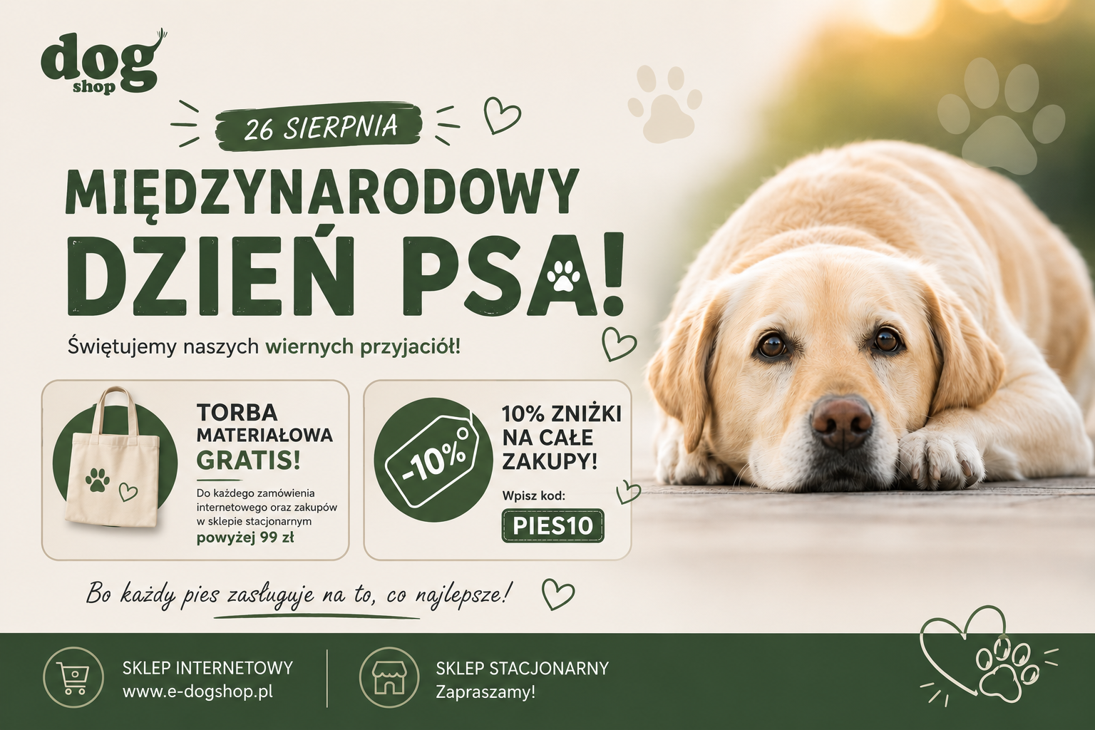 Dzień psa