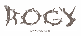 Rogy
